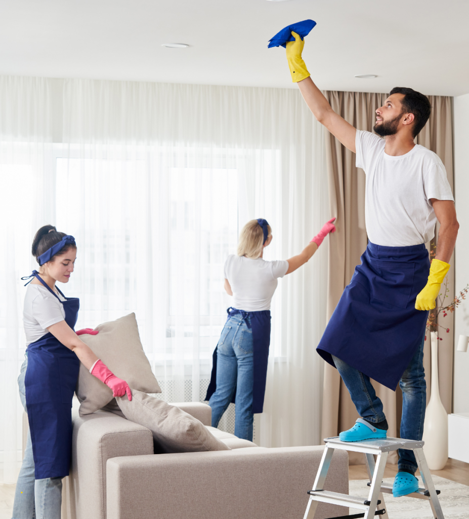 Trusted Denver professional cleaners tackling high-altitude dust and pet dander in a home