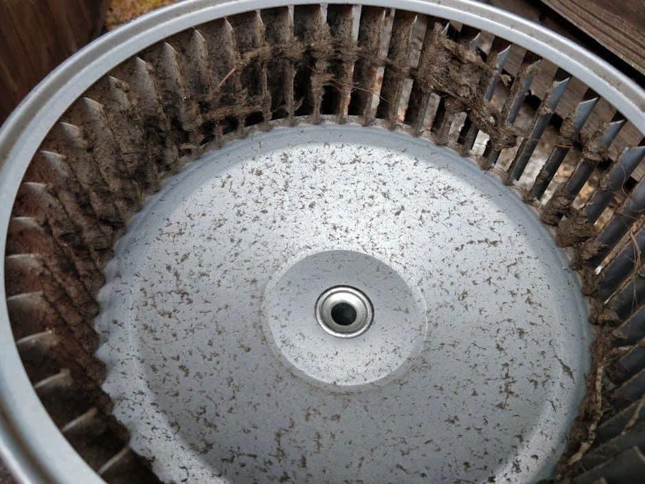 Dirty blower wheel showing heavy dust and debris buildup requiring professional blower motor cleaning service, demonstrating need for HVAC maintenance and cleaning Title: